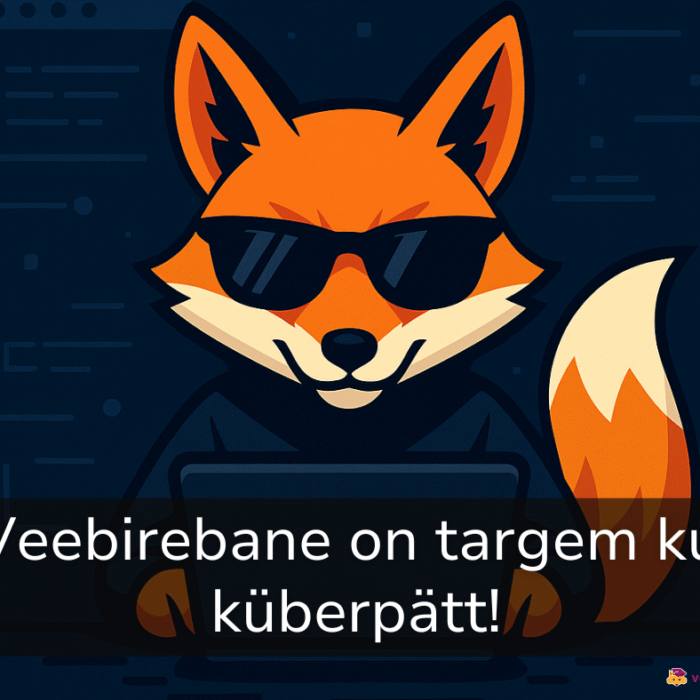 Küberturvalisuse õpiprogramm – teenusepakkuja