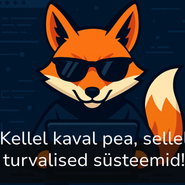 Küberturvalisuse õpiprogramm - baaspakett