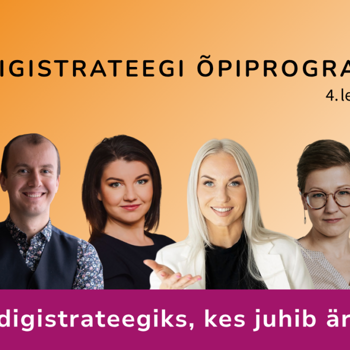Digistrateegi õpiprogramm