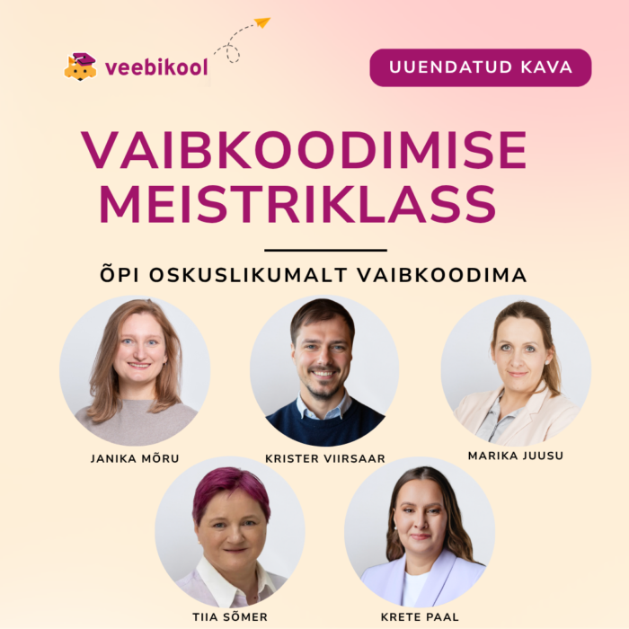 Vaibkoodimise programm