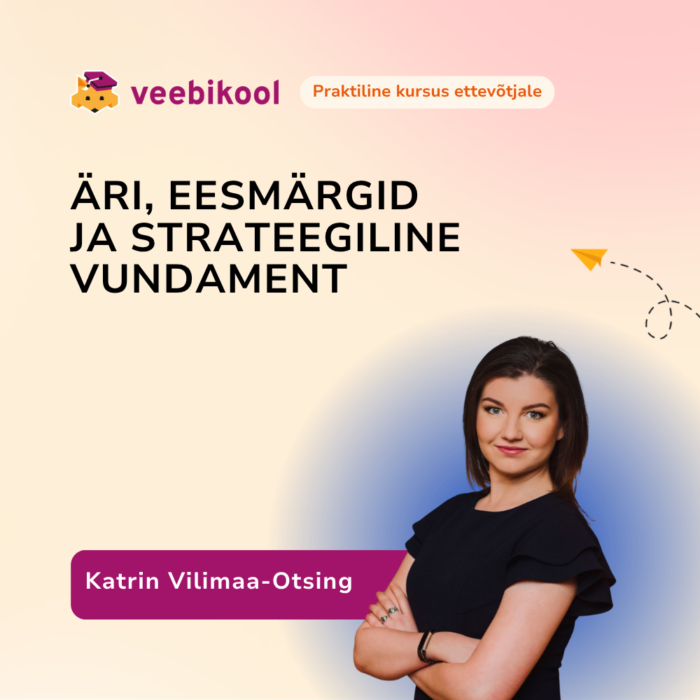 Digistrateegia vundament: ärimudel, eesmärgid ja positsioneerimine