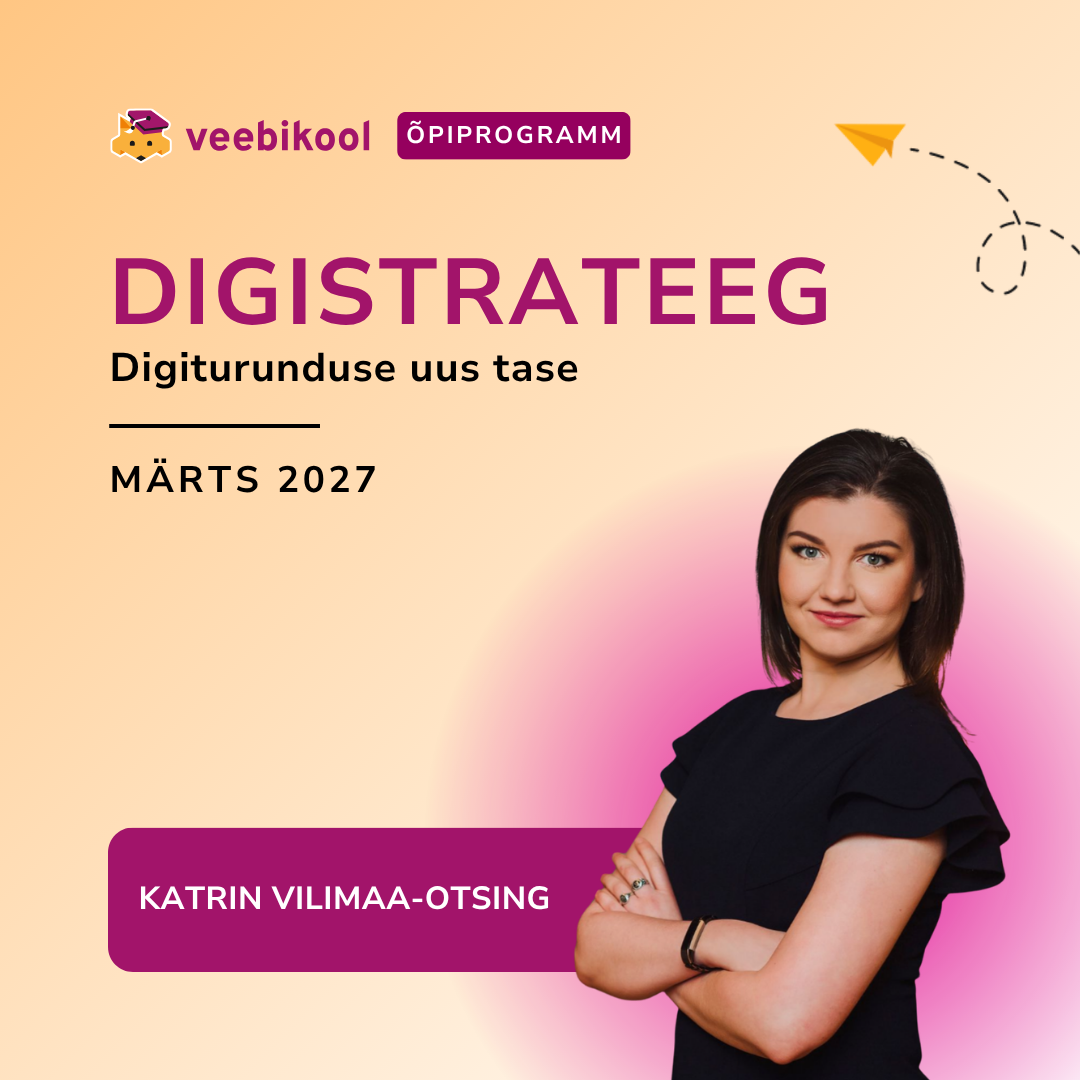 Digistrateegi õpiprogramm, kevad 2027 (VIP)