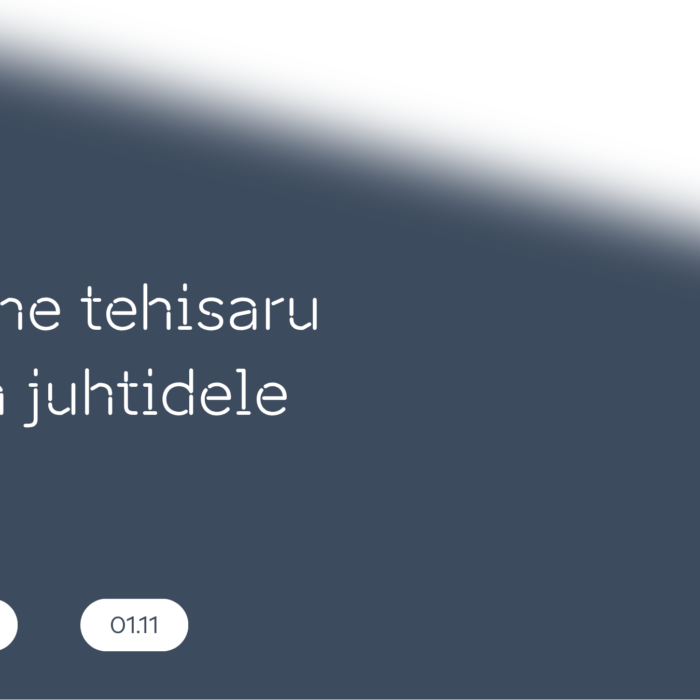 Praktiline tehisaru töötuba juhtidele