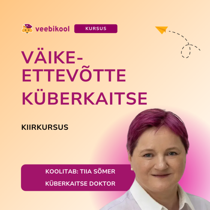 Väikeettevõtte küberkaitse kiirkursus