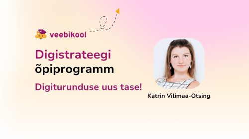Digistrateegi õpiprogramm