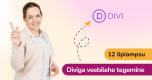 Divi theme